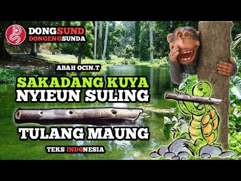 Video clip hay sakadang monyet(oVQXNu5oq3M), Xem video 