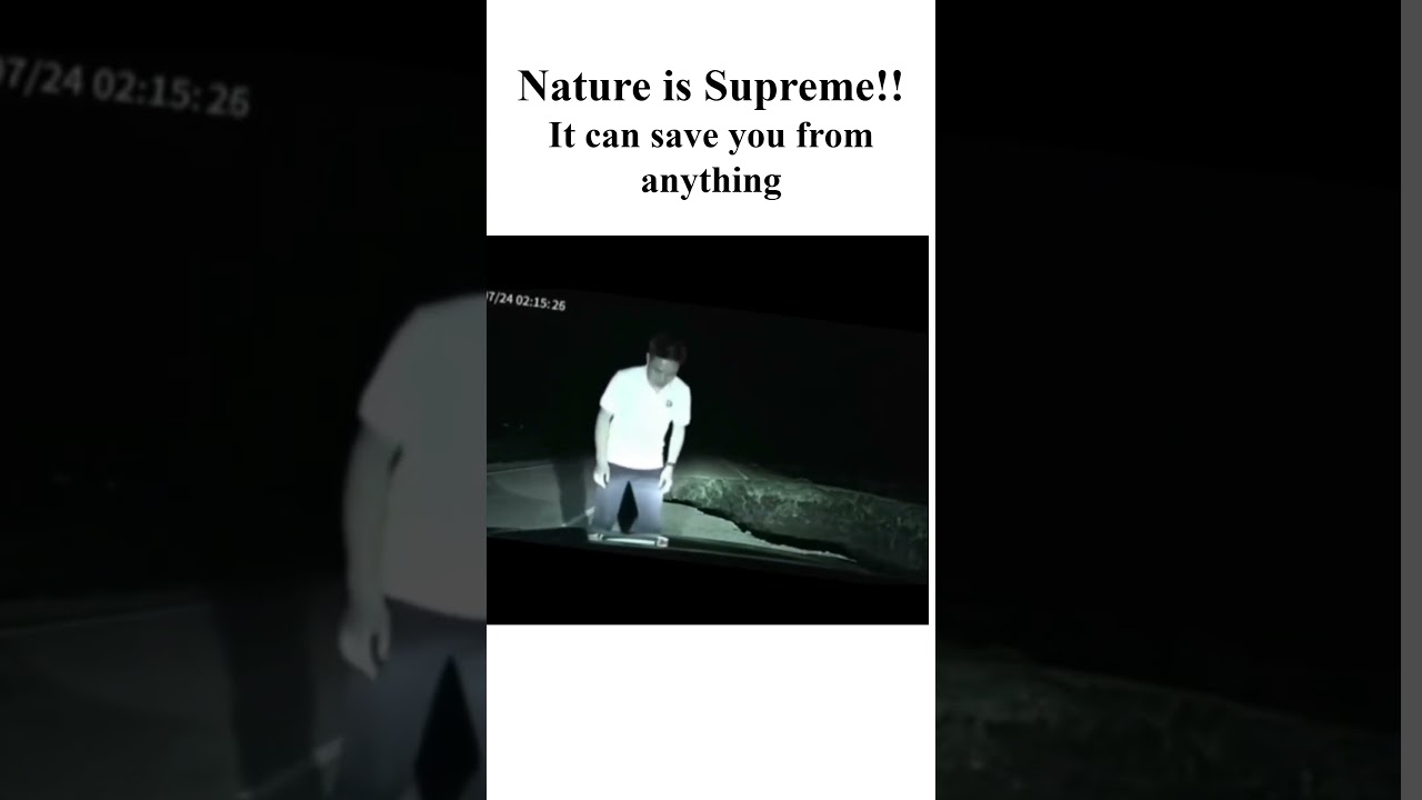 Animal Saves Car from Pothole 🐾🚗 Dashcam Captures Unexpected Hero Moment | 