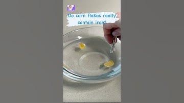 Cereal MythBusters: Does Your Corn Flakes Pack Iron 🥣🔍  #sciencefun