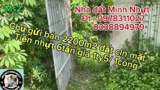 📣📣📣 ms2 : chủ gửi bán 2200m2 đất cln đang trồng bưởi ,đất mặt tiền nhựa 6 tấn giá 1ty500t/1công