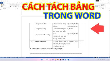 Cách Tách Bảng Trong Word Vô Cùng Đơn Giản