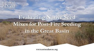 Evaluating Native Seed Mixes for Post-Fire Seeding in the Great Basin webinar