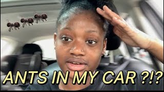 I Found ANTS in My Car… So I Deep Cleaned the Entire Thing 🐜🚗
