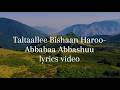 Taltaallee Bishaan Haroo Abbabaa Abbashuu Lyrics Video 
