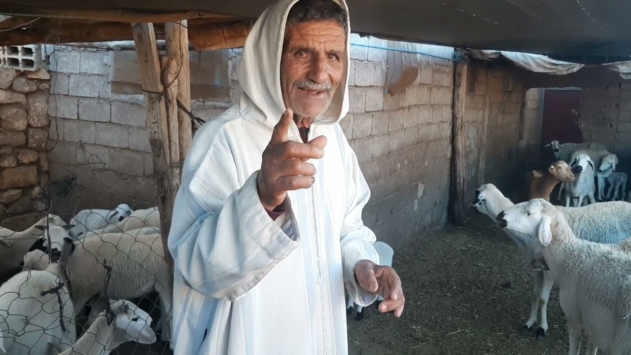 الجزء الثاني من النصائح ديال با المصطفى تبعو فيديو كين بزاف ديال النصائح......