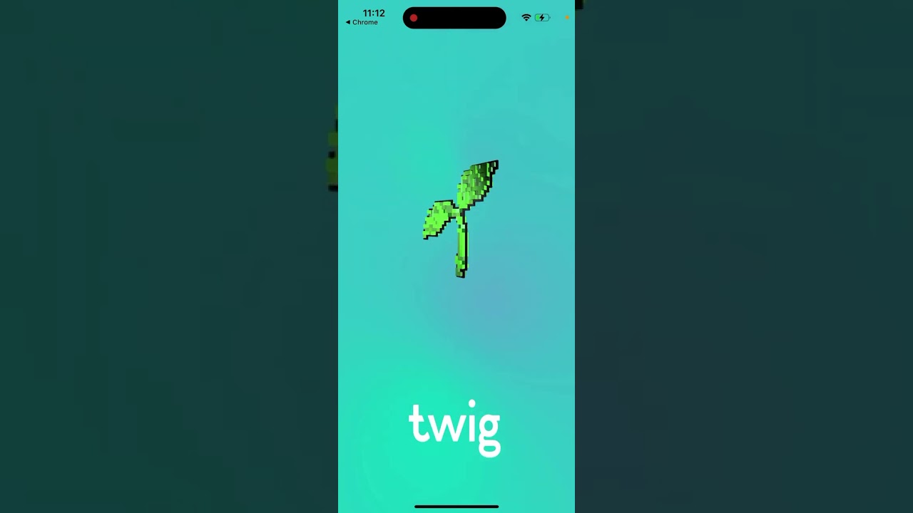 Twig app - your bank of things - how to install on iPhone? How it works?