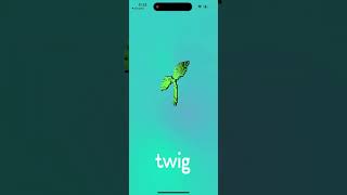 Twig app - your bank of things - how to install on iPhone How it works