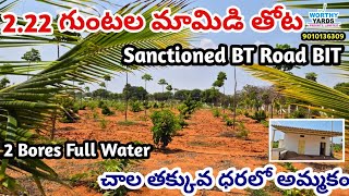Mango Garden For Sale | 2 Bores Full Water |#agriculturelands #farmlands #realestate #farmhouse