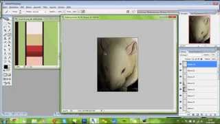 .:Silent Tears:. - Rat Speedpaint