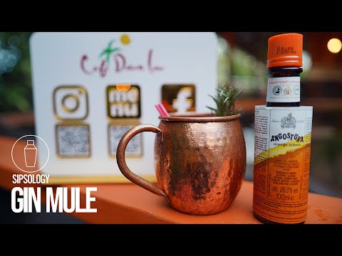 Spice Up Your Gin Mule: Zesty Twist With Angostura Orange Bitters!
