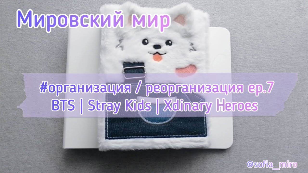 Организация и реорганизация карт и биндеров BTS, Stray Kids and Xdinary Heroes. 