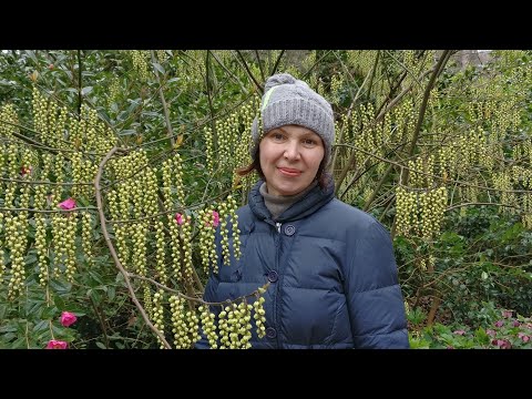Vlog 10-Shere очаровательная деревня контрабандистов в графстве Surrey