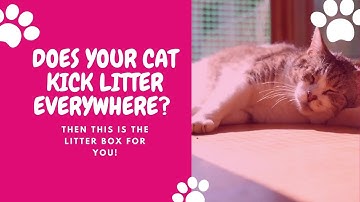Does Your Cat Kick Litter Everywhere? Then Try This Top-Entry Litter Box!
