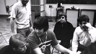 Good Vibrations Rough Mixes