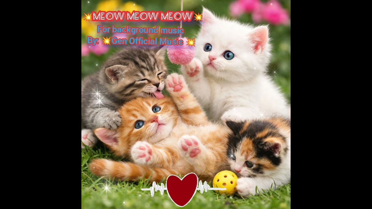 💥Meow Meow Meow 💥 Background music | NO CPR free to used