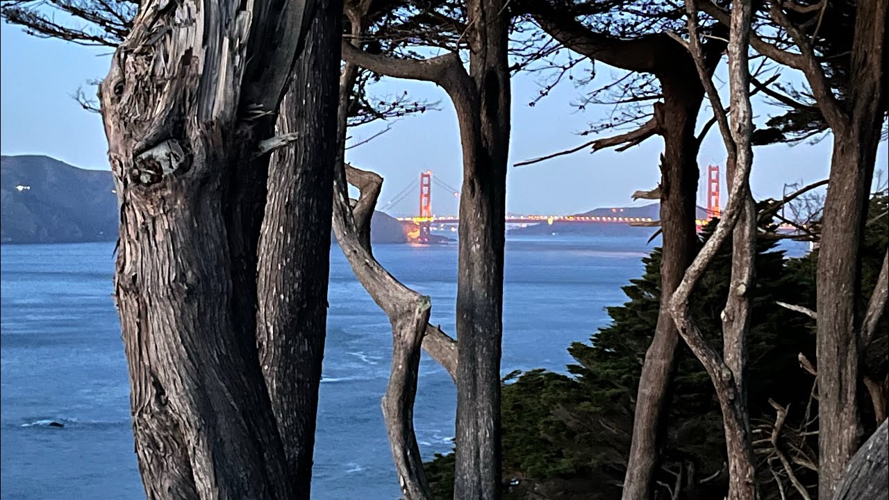 Complaining untill I get yarn in my hands 🧶