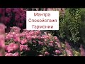 Мантра Спокойствия🌺 Гармонии