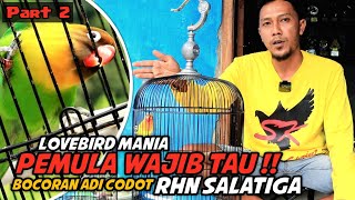 BOCORAN❗cara memilih Materi Lovebird dan cara latih Mental LB bagi Pemula || Adi codot RHN salatiga