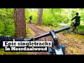 MTB Meerdaalwoud: SINGLETRACKS PARADISE in Belgium! (4k)