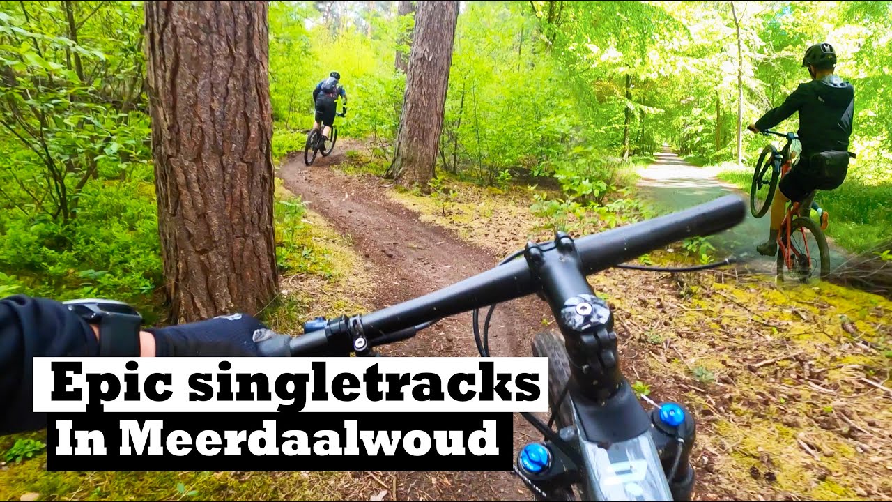 MTB Meerdaalwoud: SINGLETRACKS PARADISE in Belgium! (4k) - YouTube