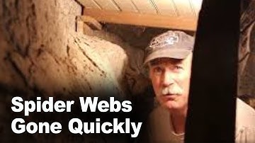 How to get rid of Cobwebs quickly!!!