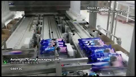 Biscuits Automatic Case Packaging Line