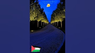 #قران_كريم #تلاوات_مميزة#راحة_نفسية #Quran_Kareem#اكسبلور #لايك #الشيخ _المنشاوى