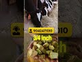 💯 மாடு வளர்ப்போரின் No.1 தேர்வு | MASTER 530 Chaff Cutter