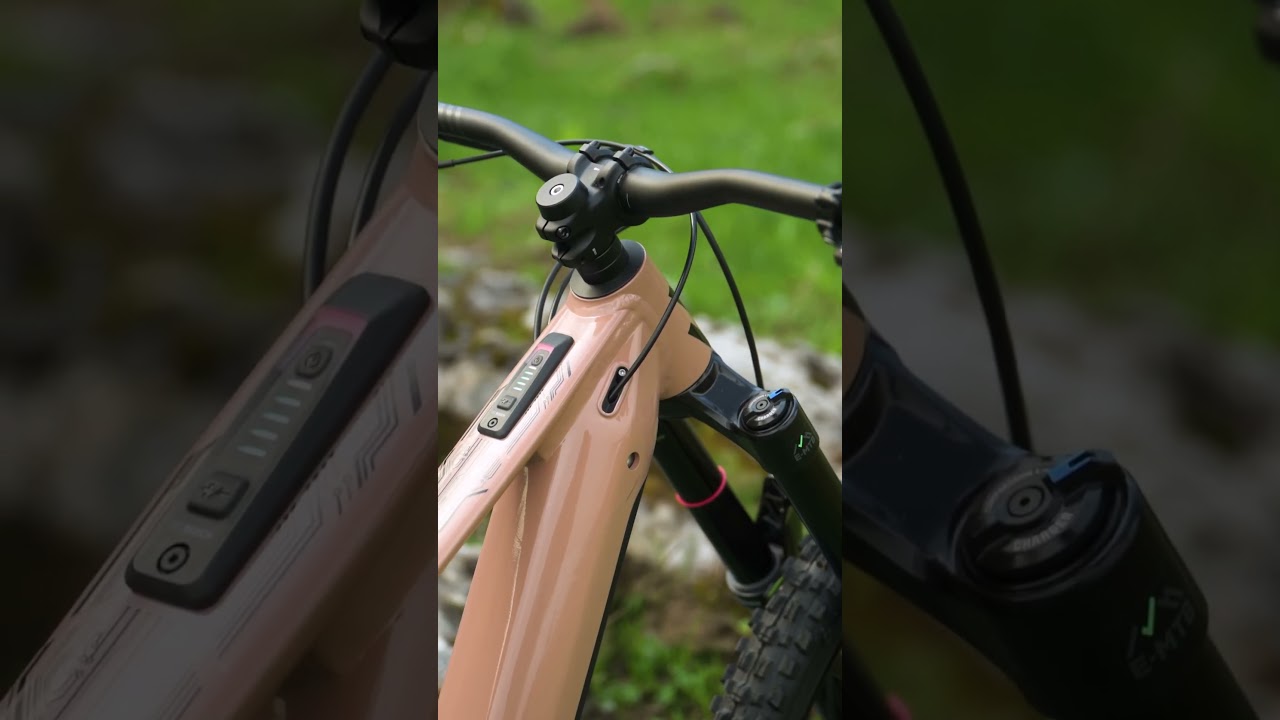 SCOR 6080 Z - a real Beast 😈