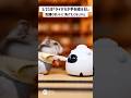 配膳の特訓ハム、最後は握手🐹 #ハムスター #配膳ロボット #ハムスターのいる生活 #ジャンガリアンハムスター #ゆず