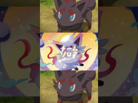 ネタ　リクエスト　ゾロアVSヒスイ伝説ポケモン#ポケモン#ネタ#強さ比べ #shorts