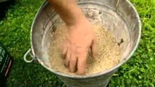 Goed Voor Je Tuin Het Beste Graszaad Voor Uw Grasmat