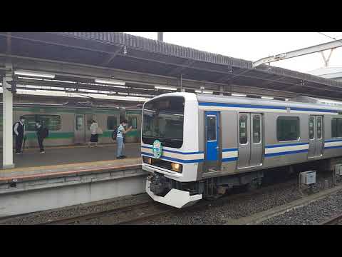 ヘッドマーク付き スカ色 E231系 マト139編成