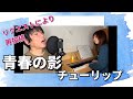 リクエストにより再投稿します!!「青春の影」チューリップ 弾き語り   by FU-FU