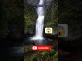 Nice Water fall for tourists attraction 🔥 #shorts #travel #tour #trip #touristplace #adventure