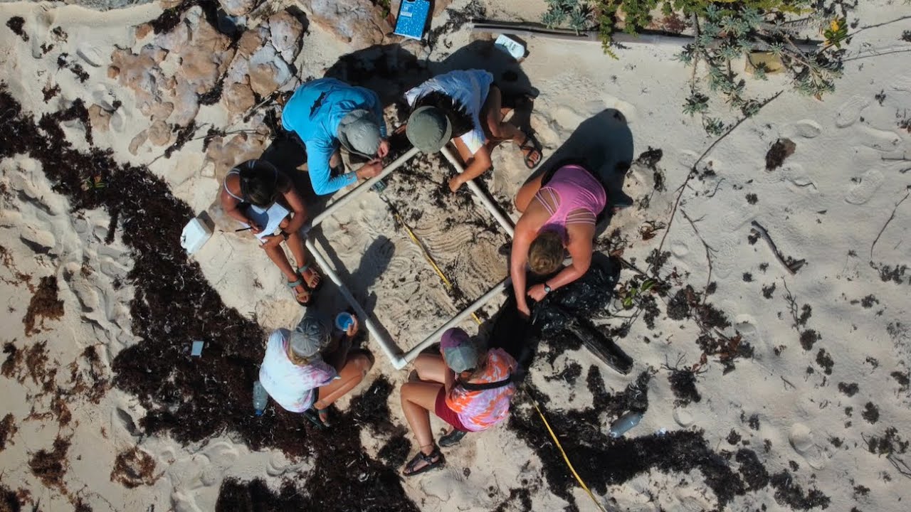 Nick's Marine Debris Research in Turks & Caicos YouTube
