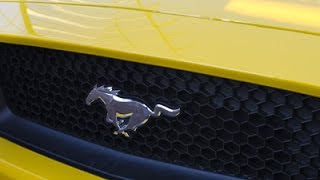 'A Faster Horse' Doc Focuses on Ford Mustang