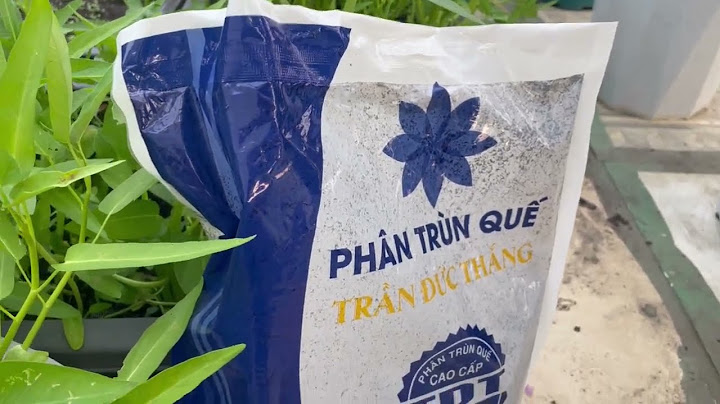 Phân trùn quế là phân bón hữu cơ gì năm 2024