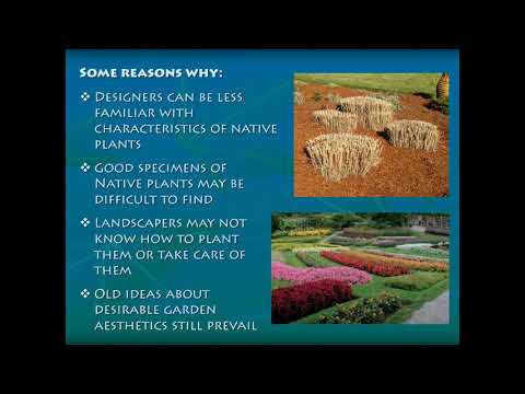 Vidéo: Sweetfern Plant Care - Conseils sur la culture des sweetferns dans les jardins