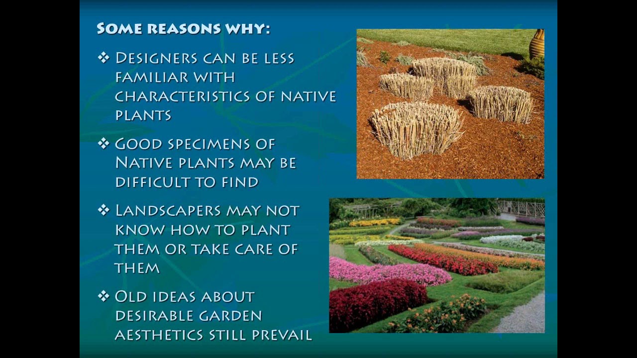 Garden Federation of Massachusetts Native Plant Design with Amanda