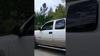 vlog: Clearing the plum saplings in the corner, the biggest removed with a truck @InTheGardenWithAmy