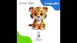 Are you born in the Year of the Tiger | 虎 | Hǔ - Here's your Chinese Zodiac Sign Lingoodle Learning
