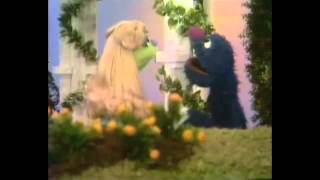 Sesame Street  Still We Like Each Other