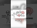 Why you react before you think 1 online video cutter com