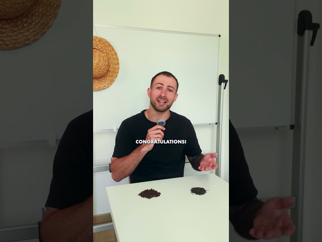 Tea vs coffee. The debate that won’t die