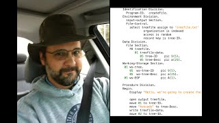 COBOL 07: Display Data Types Net Worth