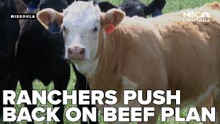 Montana ranchers say Trumps beef import plan hits at worst time