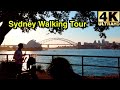 [4K] SYDNEY WALKING TOUR | ROYAL BOTANIC GARDEN 🌸 | MRS MACQUARIE'S CHAIR | THE CLYX | OPERA HOUSE