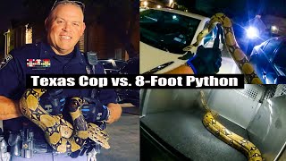 Celebrity Texas Cop vs. 8-Foot Python: Epic Rescue Caught on Camera Wealth