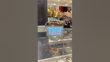 Biểu tượng con ngựa trong phong thuỷ, ý nghĩa và bày trí #ngua #conngua #tuongngua #phongthuy